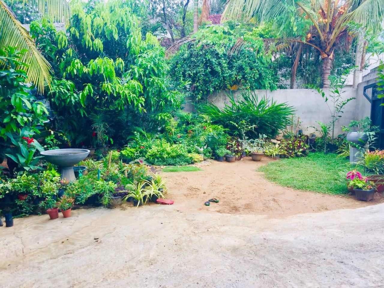 Suwani Pinnawala Homestay Экстерьер фото